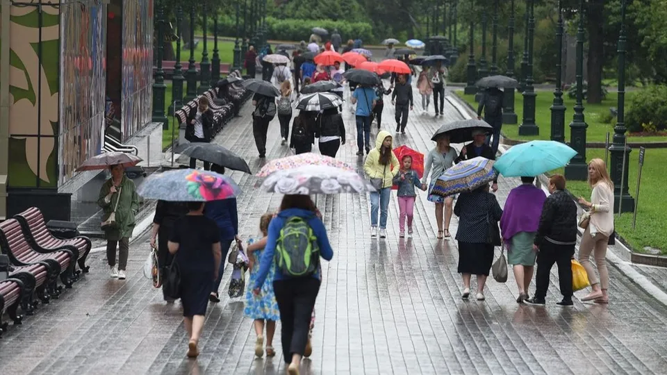 Фото: медиасток.рф