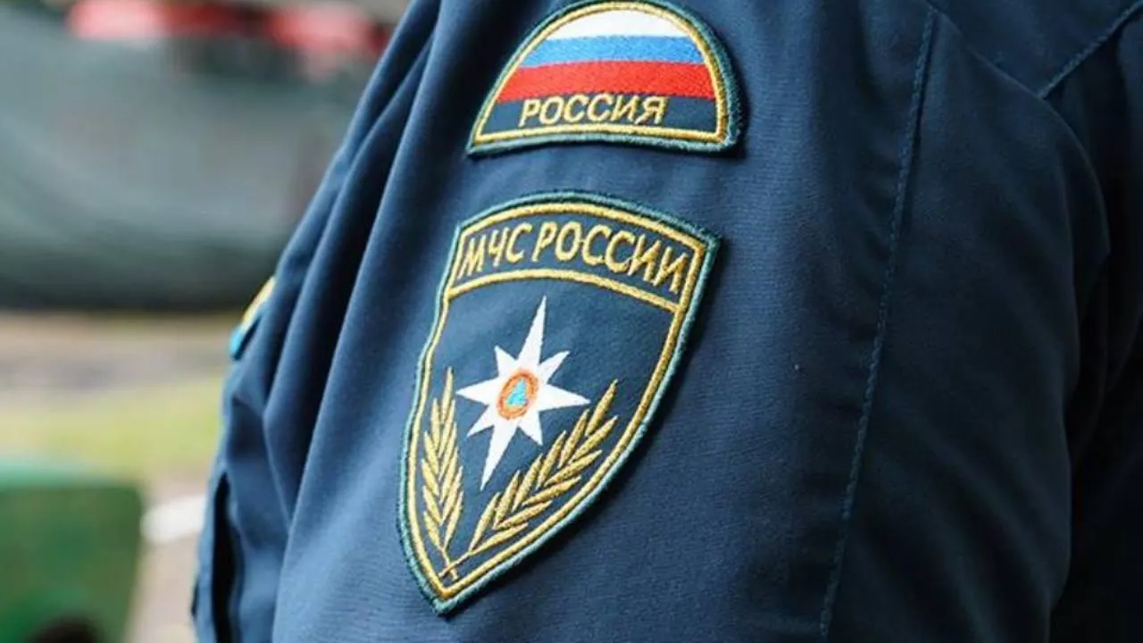 Замглавы МЧС Курской области Припуту сняли с должности из-за утраты доверия