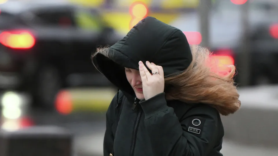 Фото: РИА Новости/Максим Блинов