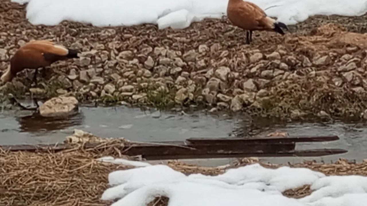 Фото: пресс-служба администрации г.о. Кашира