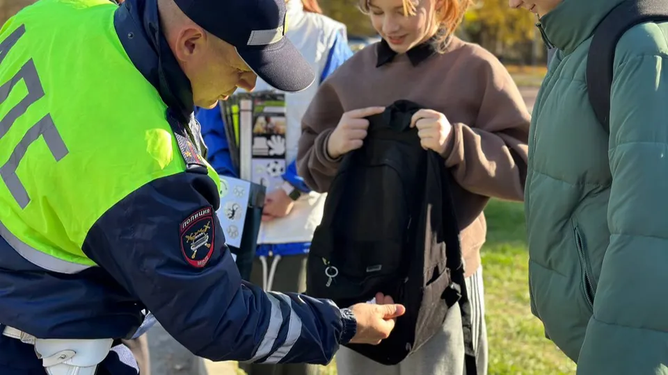 Фото: Госавтоинспекция Московской области