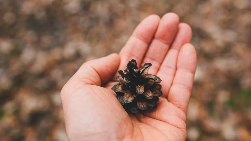 Фото: unsplash.com