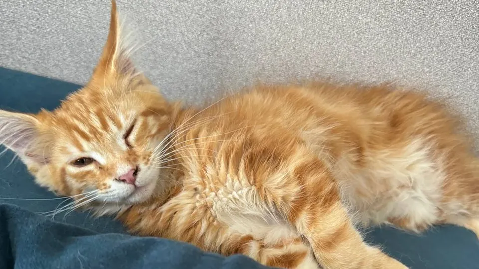 Фото: Евгения Герасимова