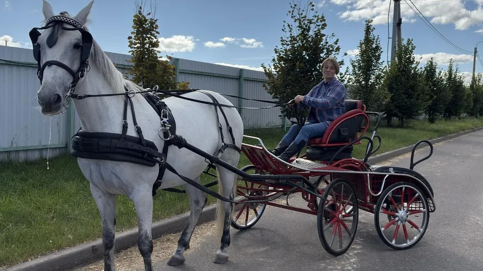 Фото: Медиабанк Подмосковья/Анна Нестерова