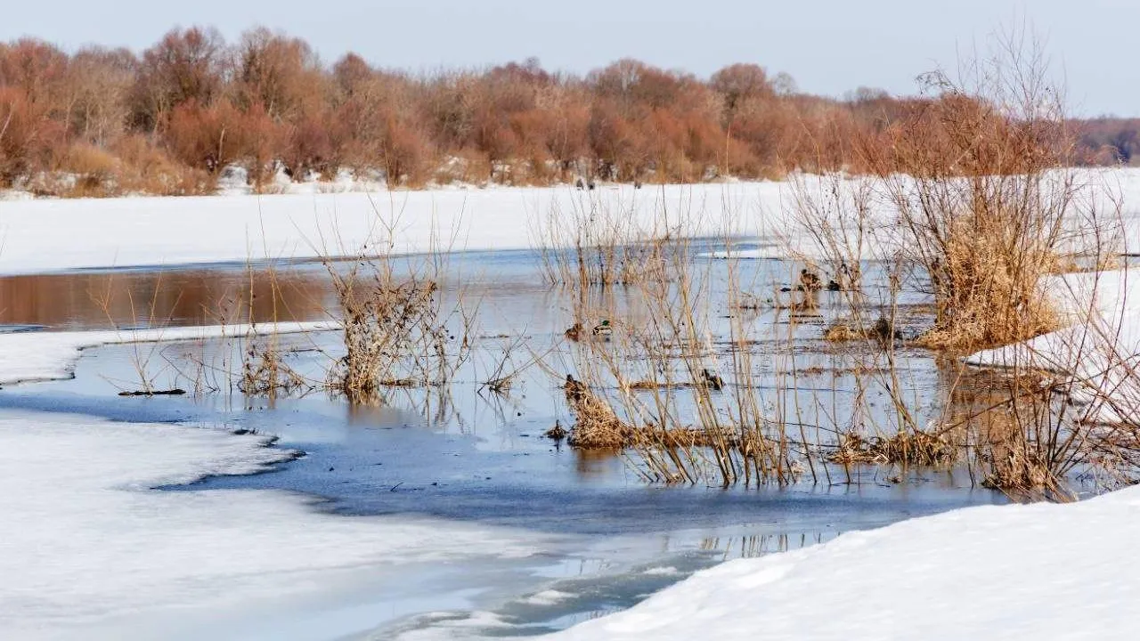 пресс-служба администрации г.о. Кашира