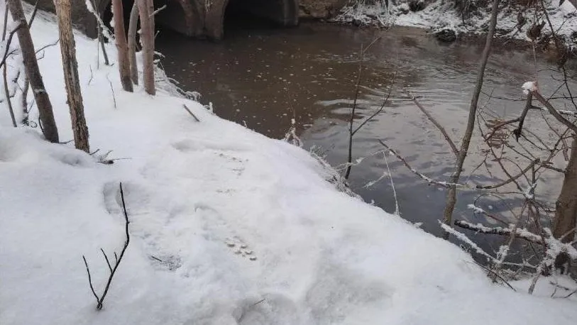 Минэкологии МО