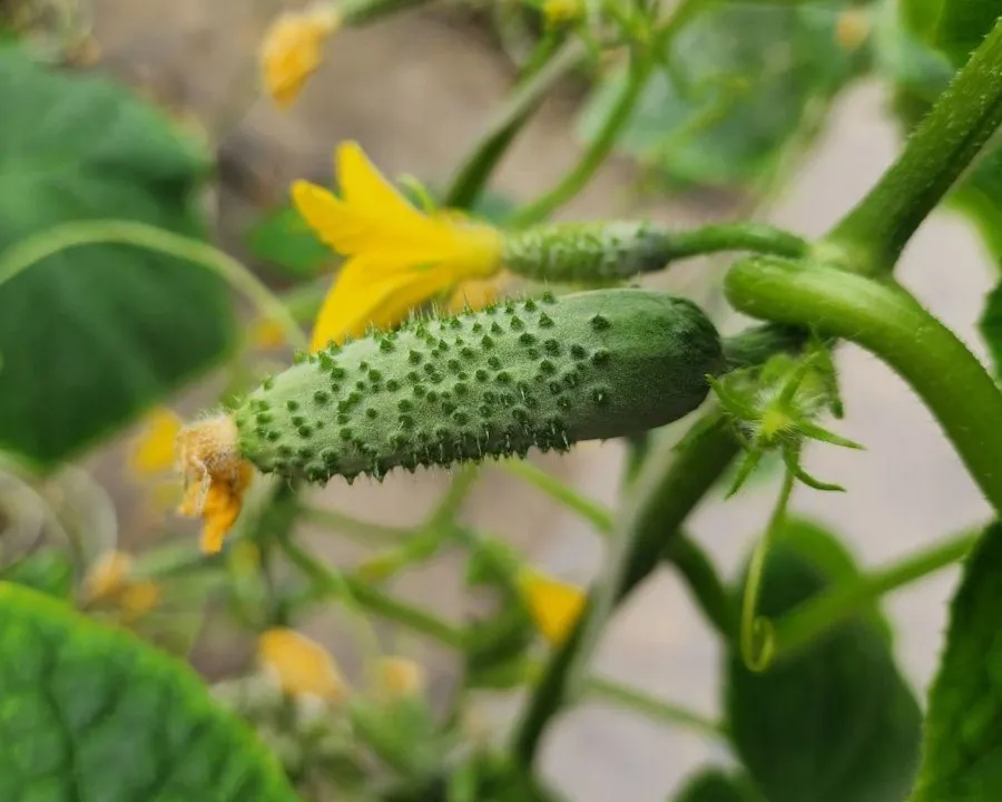 Фото: Яна Шаливская