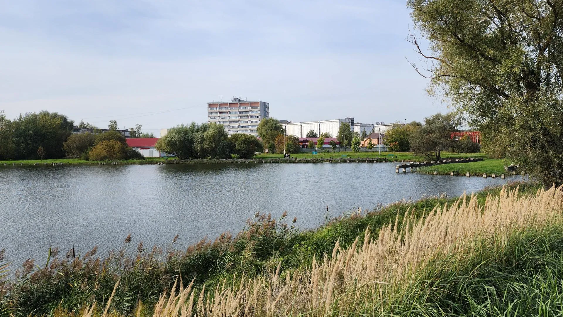 Фото: МедиаБанк Подмосковья/Ирина Моисеева