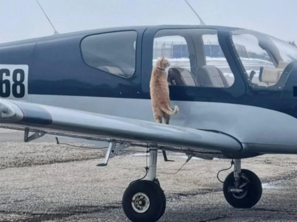 Фото сотрудников учебного центра «Аэро регион тренинг»&nbsp;&nbsp;