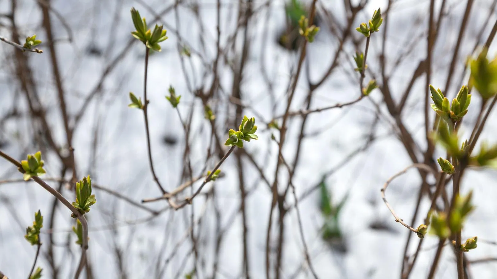 медиасток.рф