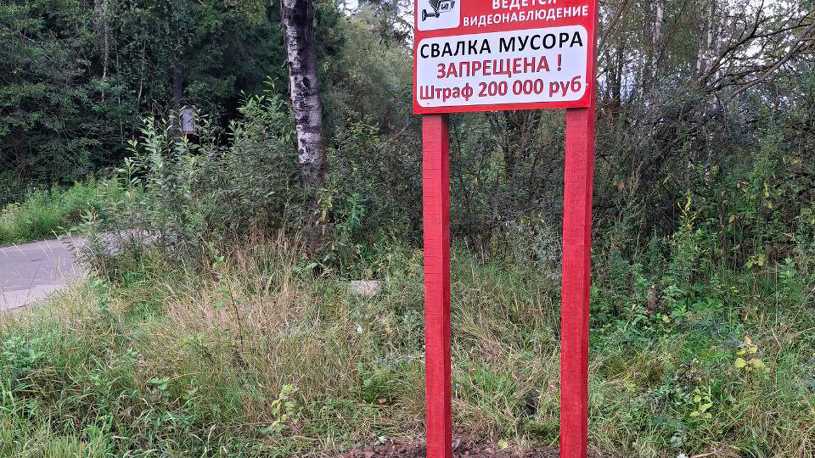 Фото: филиал «Русский лес» ГКУ МО «Мособллес»