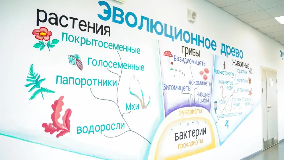 Фото: администрация м.о. Шатура