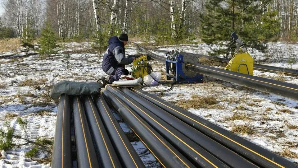 Фото: пресс-служба администрации Орехово-Зуевского округа