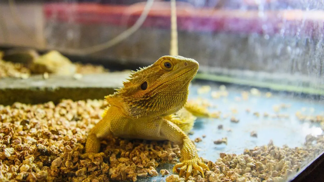 медиасток.рф