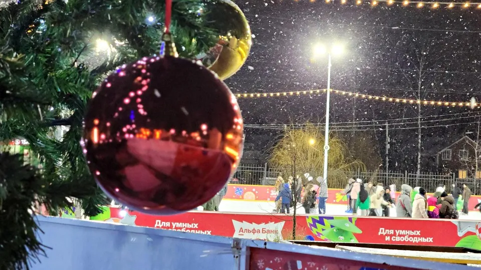 Фото: МедиаБанк Подмосковья/Елена Шумакова