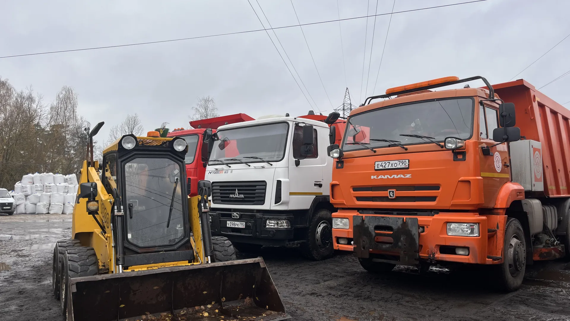Фото: Медиабанк Подмосковья/Ангелина Стельмух