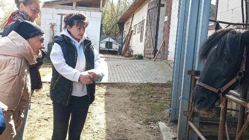 Фото: vk.com/ГАУ СО МО «КЦСОиР «Серебряно-Прудский»