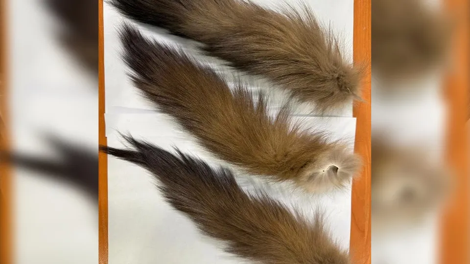 Фото: пресс-служба ФТС России