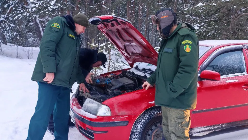 Фото: ГКУ МО «Мособллес»