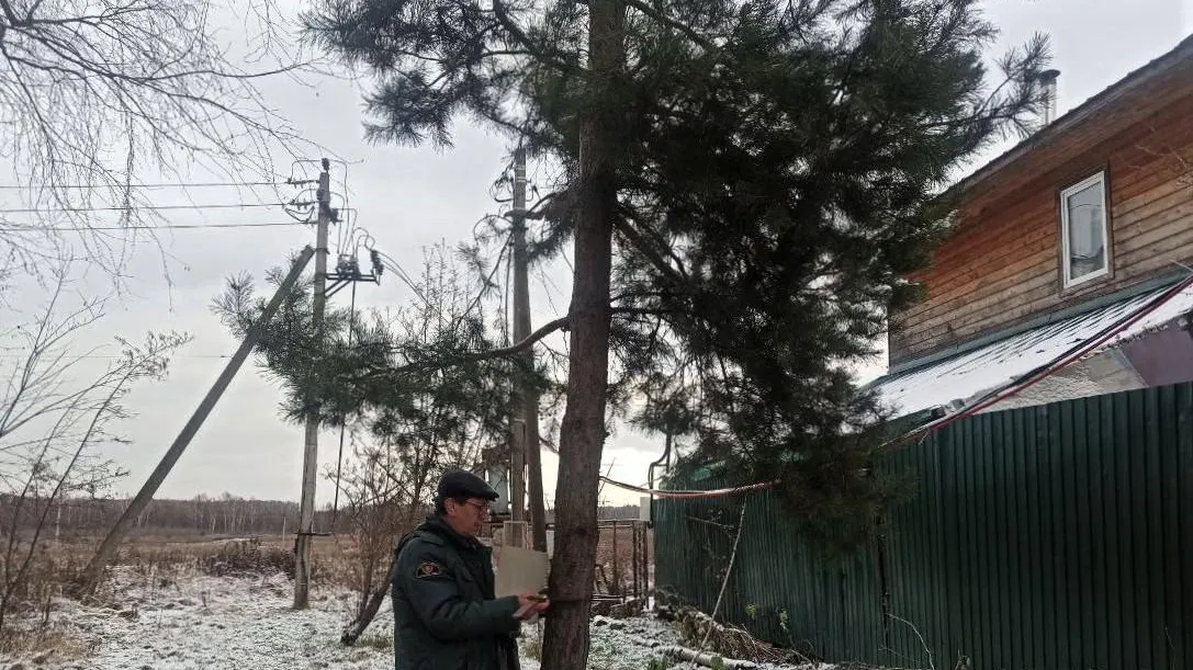 Комитет лесного хозяйства МО