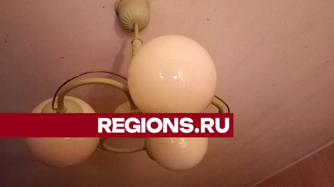 Фото: Олег Книжник