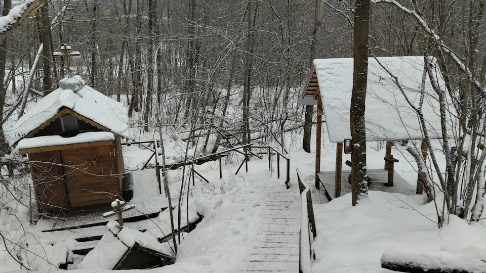 Фото: МедиаБанк Подмосковья/Кирилл Цибизов