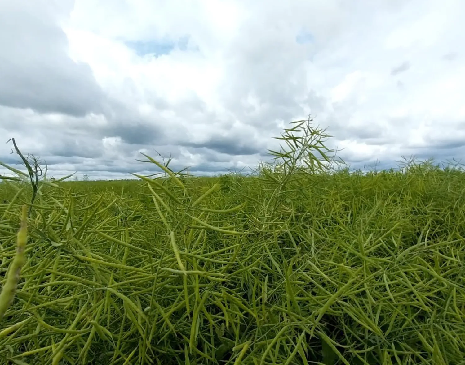 Фото: пресс-служба администрации м.о. Зарайск