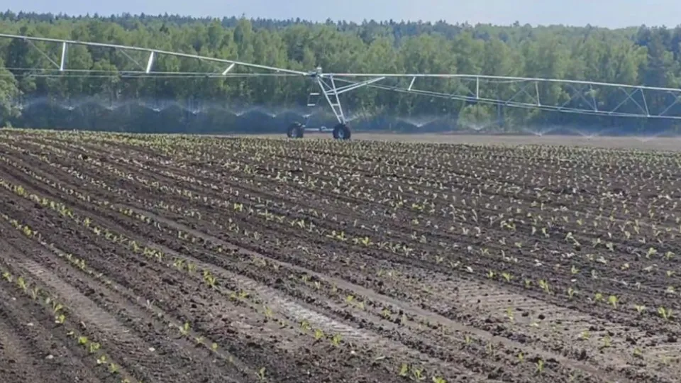 Фото: агрохолдинг АО «ОСП агро»