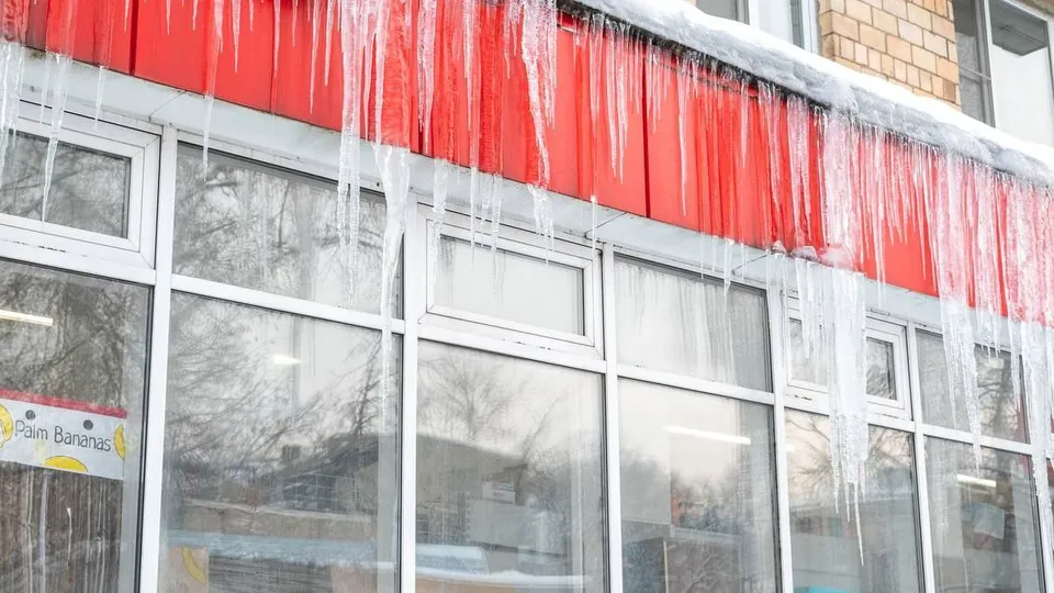 Фото: администрация г.о. Реутов