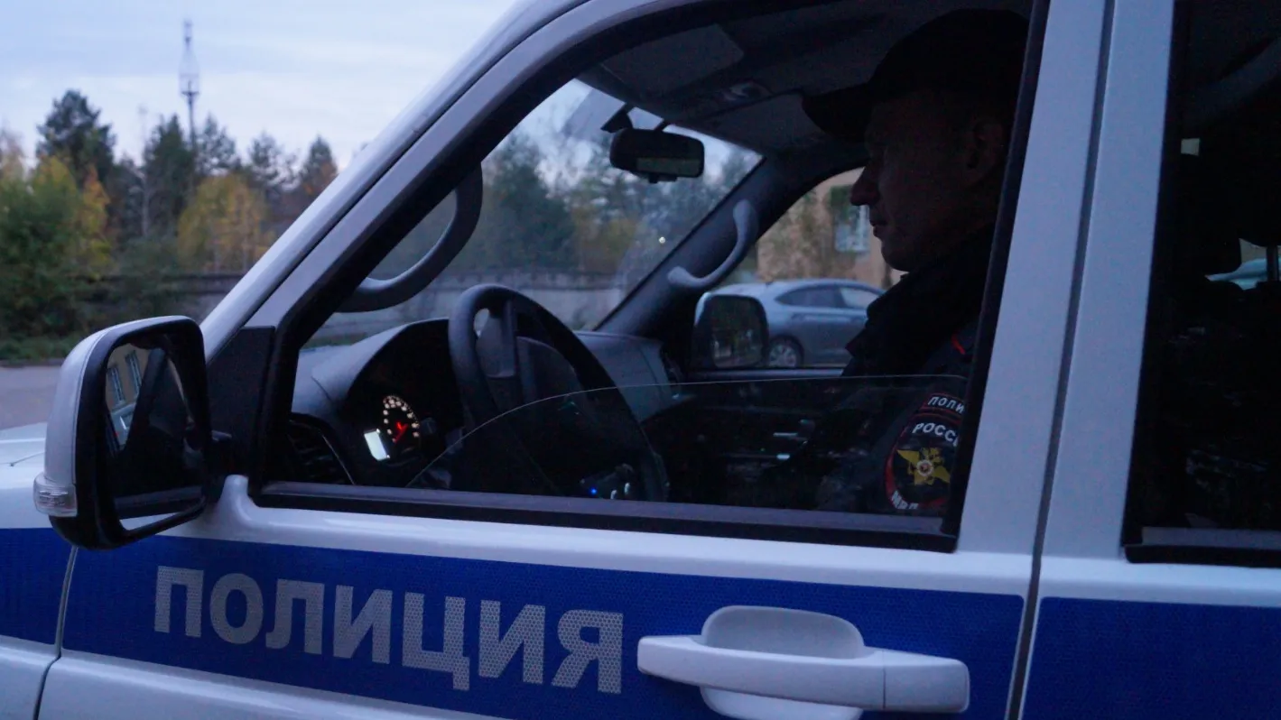 Фото: ОМВД России по Московской области