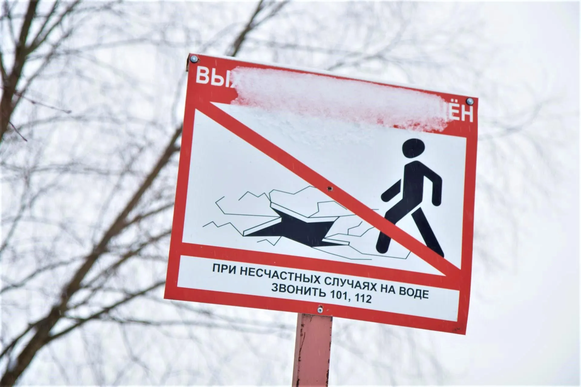 Фото: Владимир Думчев