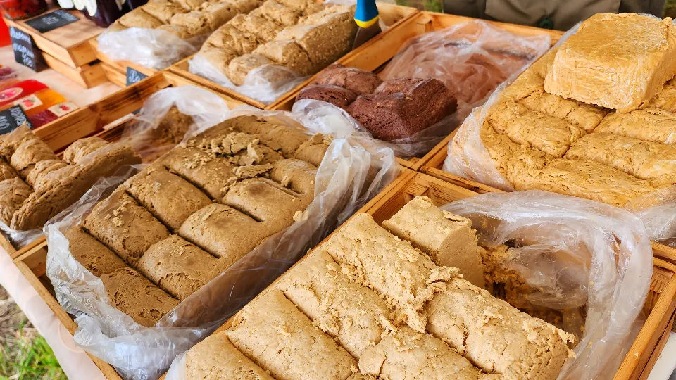 Фото: МедиаБанк Подмосковья/Анастасия Сараева