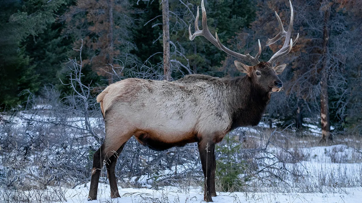 Фото: unsplash.com