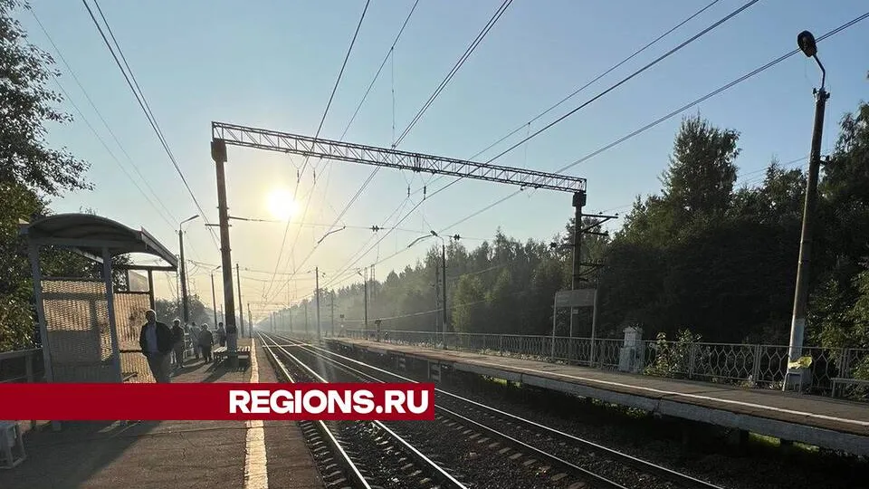 Фото: ЕДДС Орехово-Зуевского округа