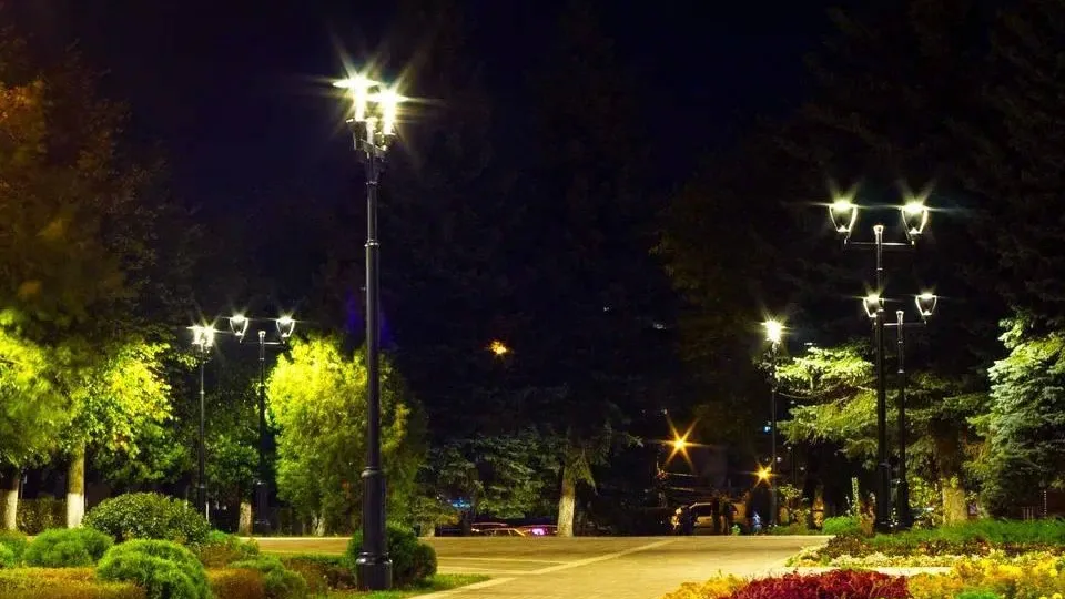 Фото: Министерство благоустройства Московской области