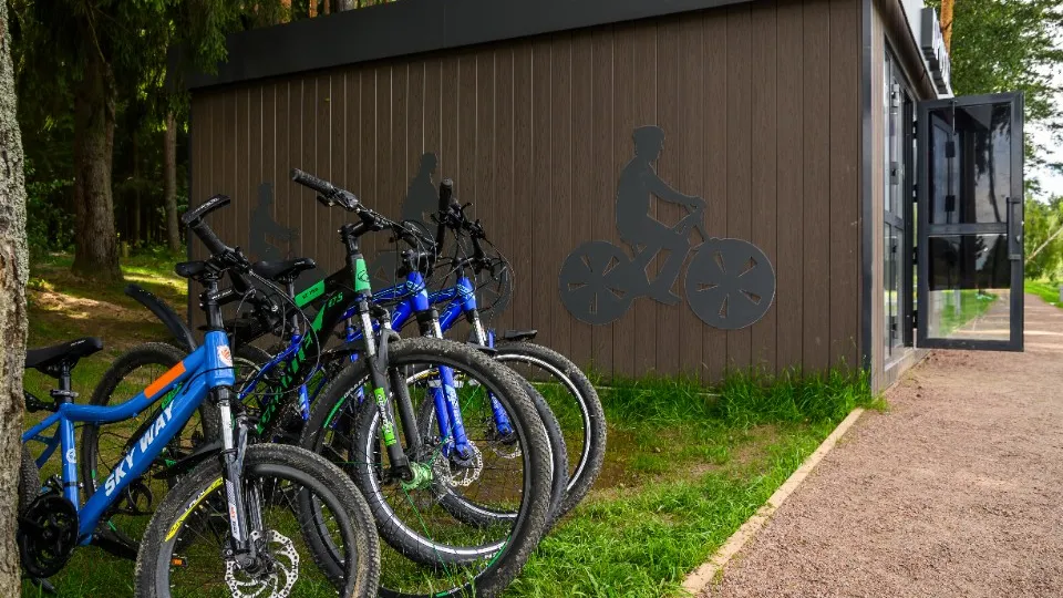 Фото: МедиаБанк Подмосковья/Дмитрий Зайчиков