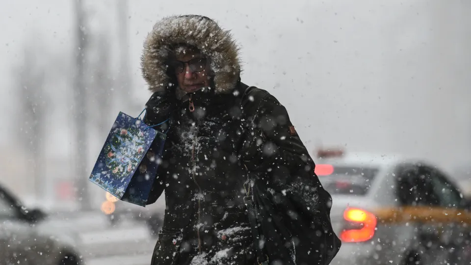 Фото: медиасток.рф