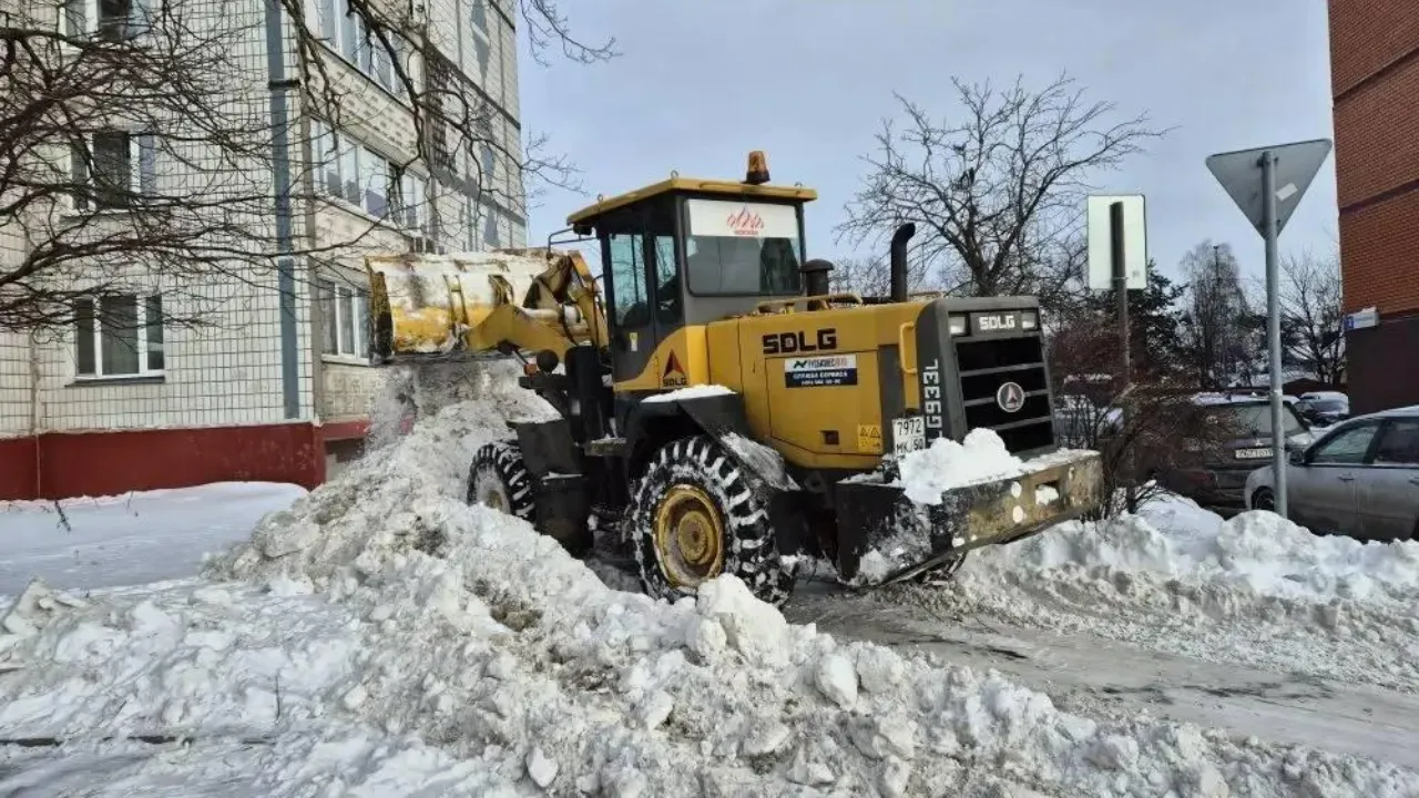 МедиаБанк Подмосковья/Иван Чижов