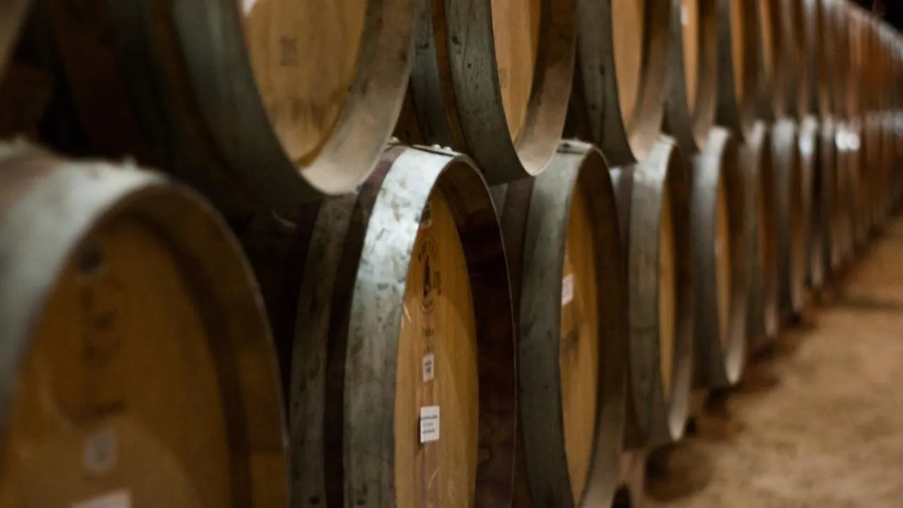 Экспорт грузинского вина в Россию вырос в первой половине 2023 года