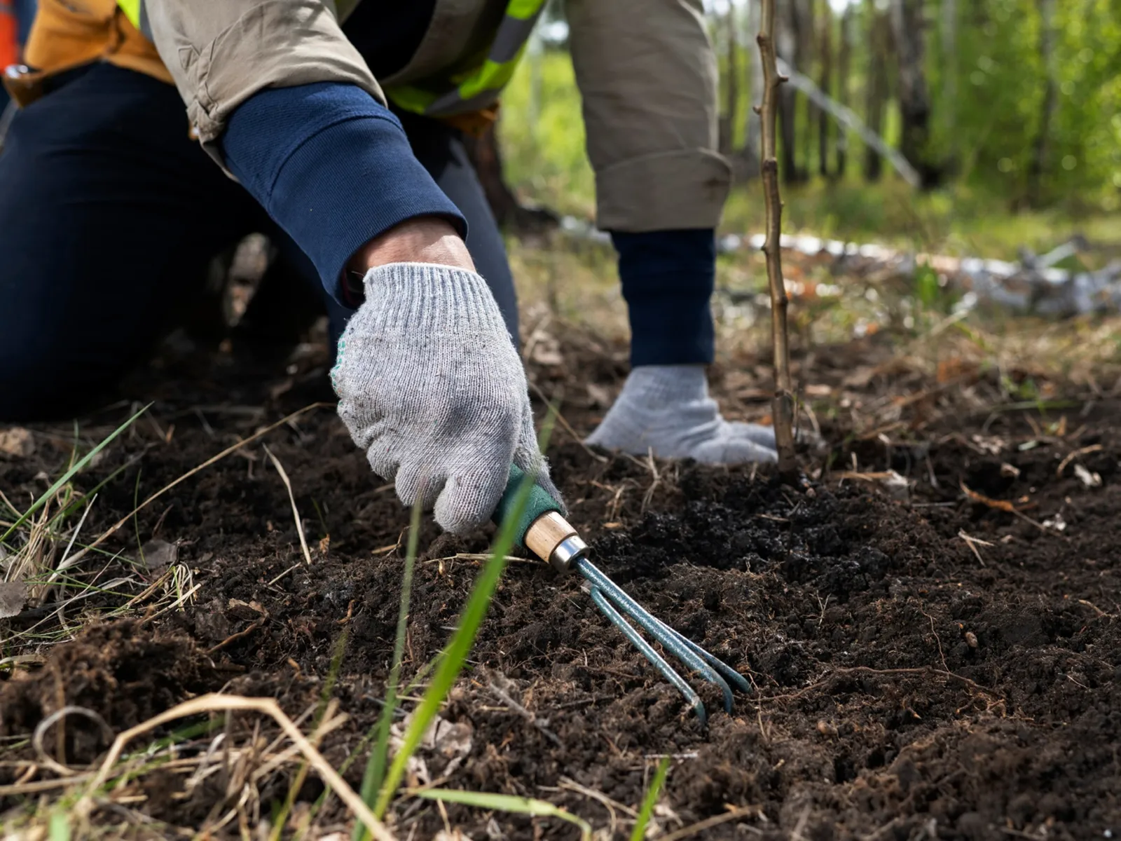 Фото: freepik.com