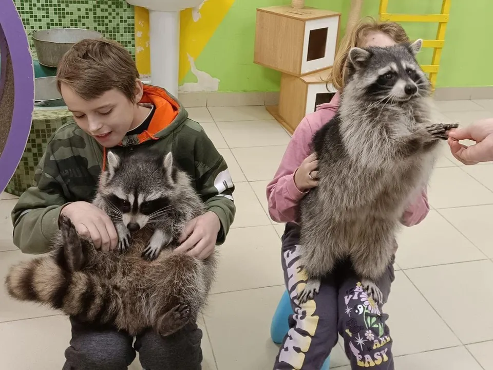 Фото: Министерство социального развития Московской области