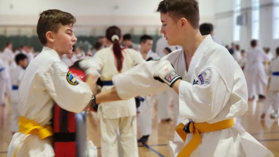 Фото: МедиаБанк Подмосковья/Анна Шолохова