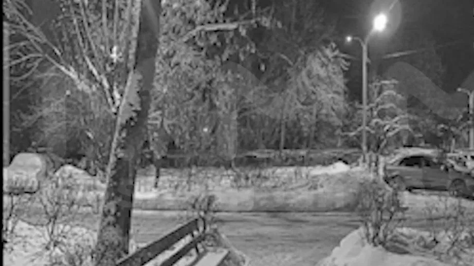 Два громких хлопка: Mash сообщил подробности ликвидации вражеского дрона под Москвой