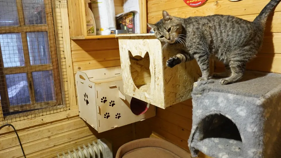 Фото: REGIONS/Алена Притула