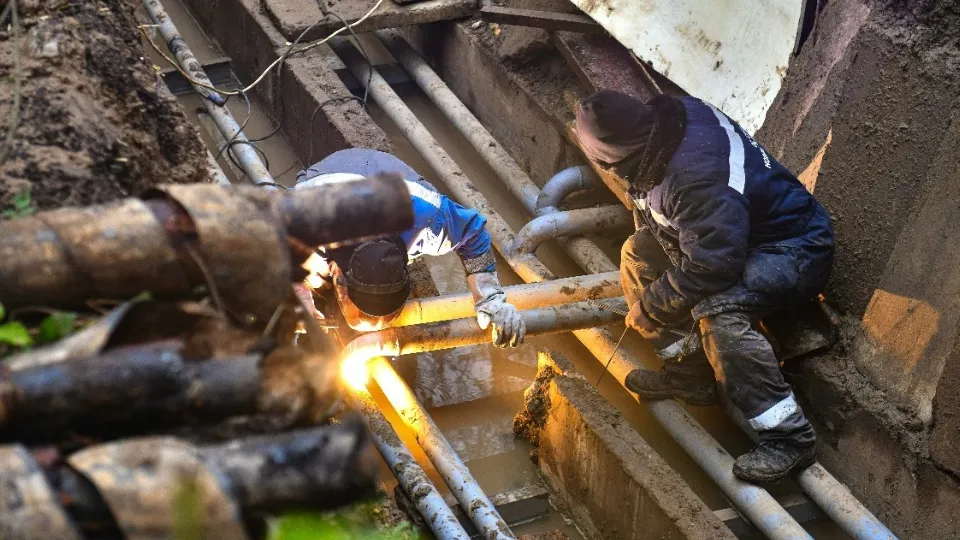 Фото: пресс-служба администрации г.о. Химки