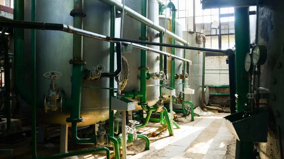 Фото: пресс-служба администрации г.о. Дмитров