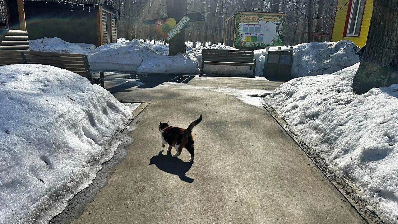 Парки Ступина