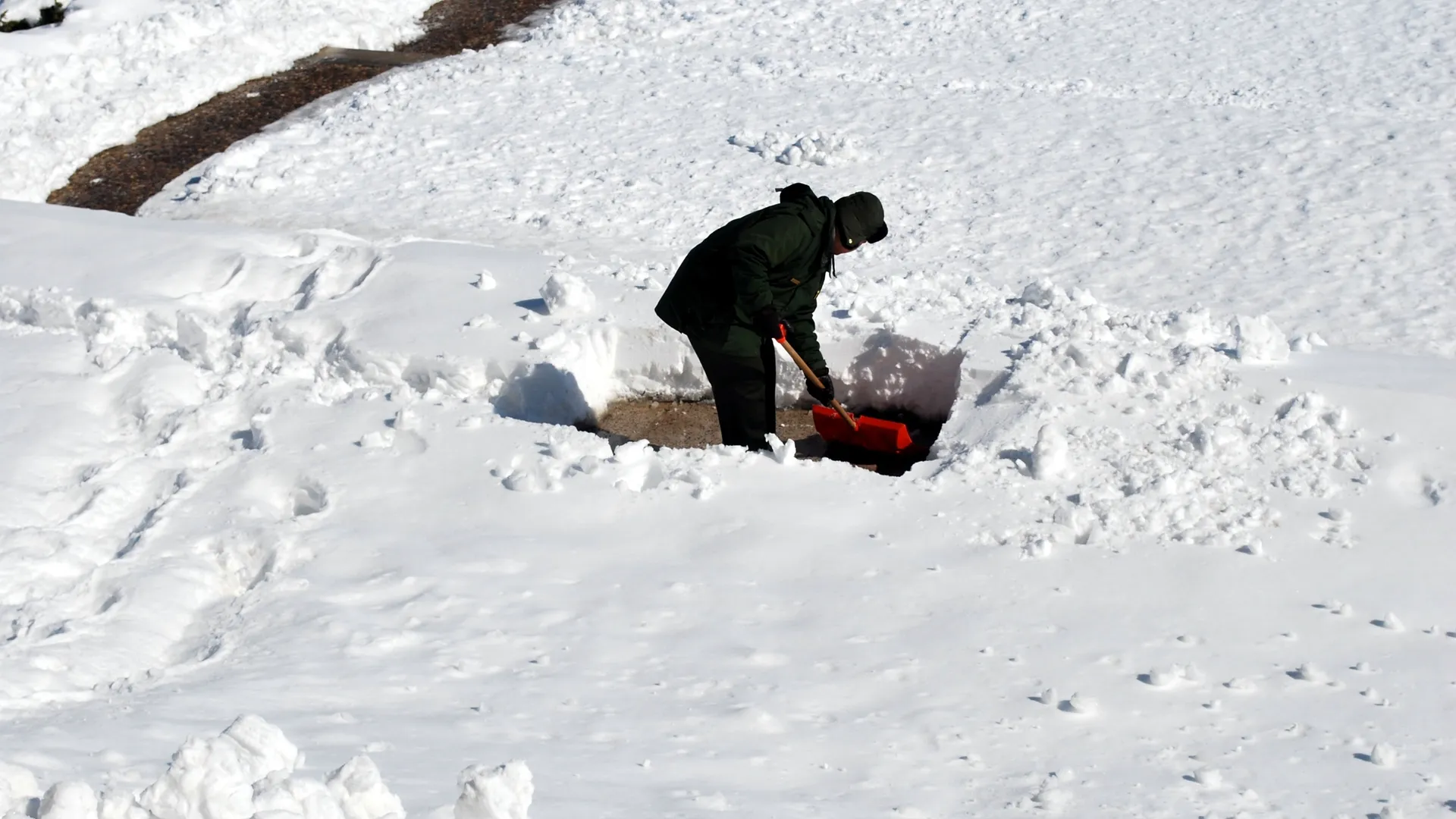 Фото: pxhere.com