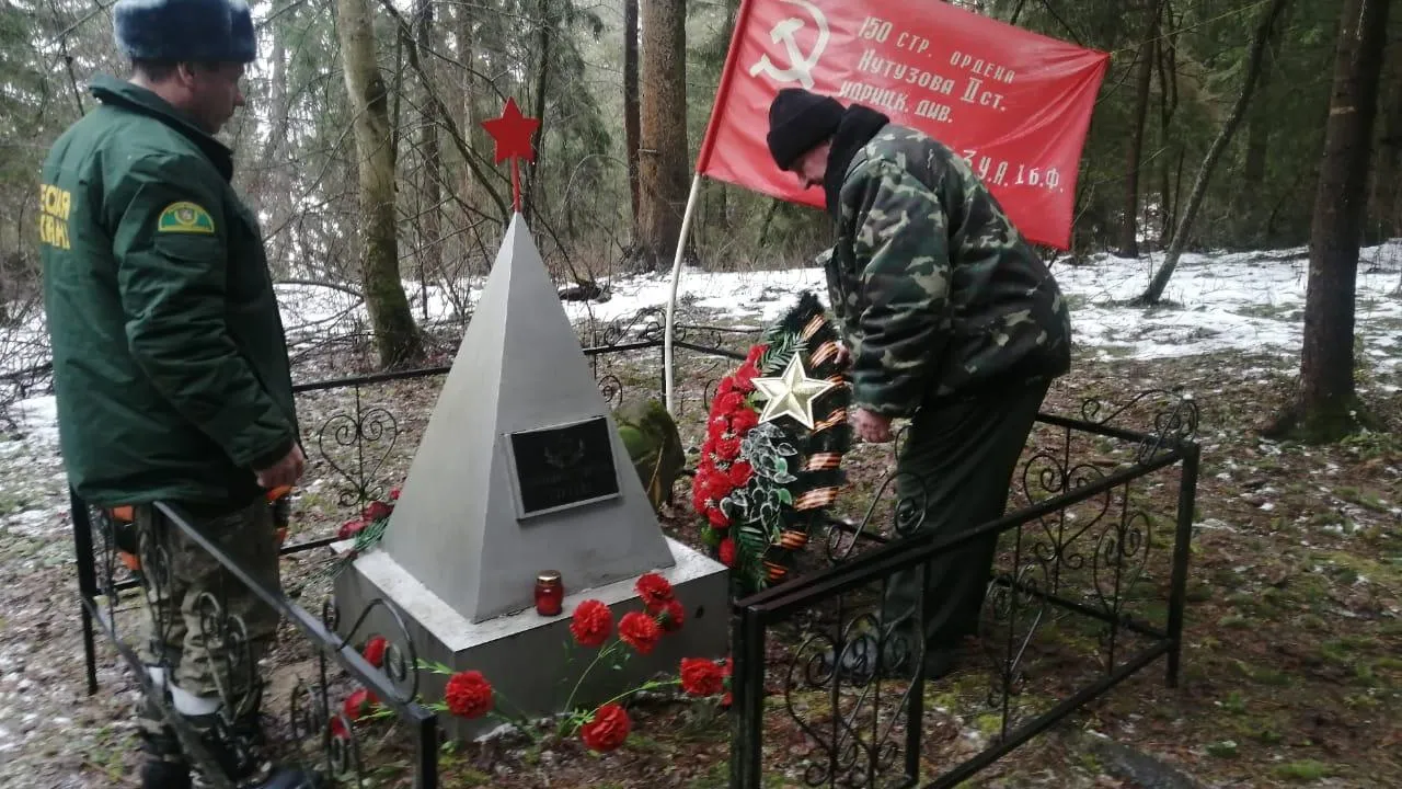 Фото: Комитет лесного хозяйства Московской области