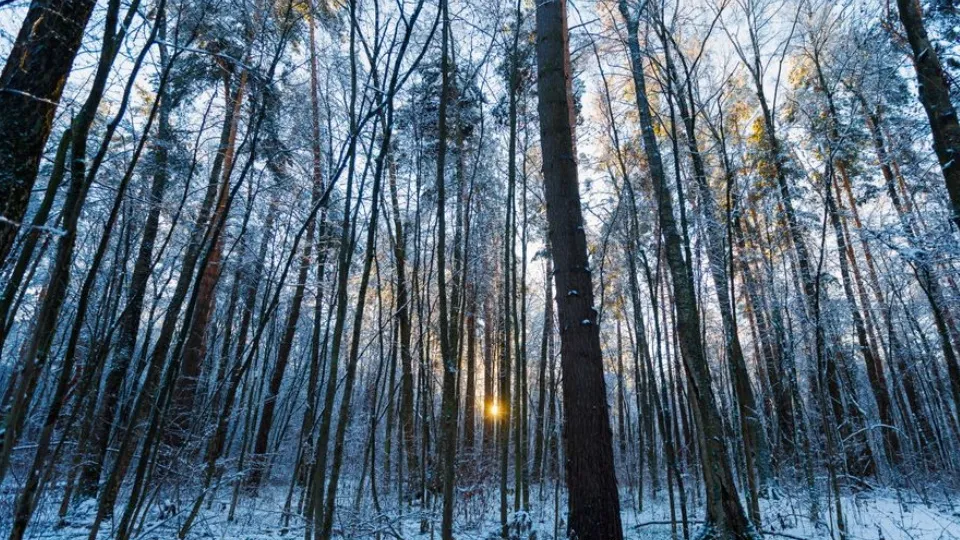 Фото: медиасток.рф